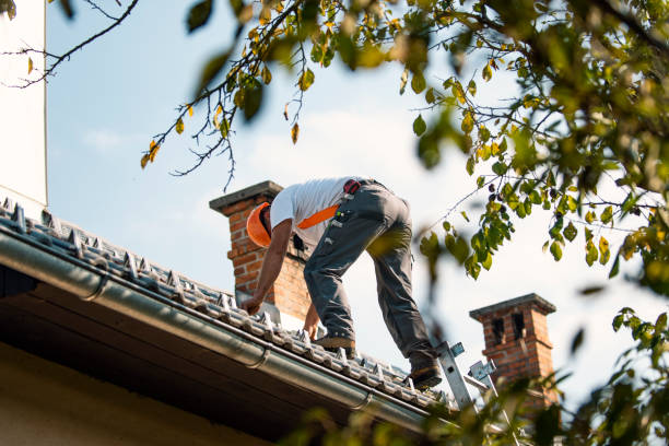Best Storm Damage Roof Repair  in Fairmont, MN