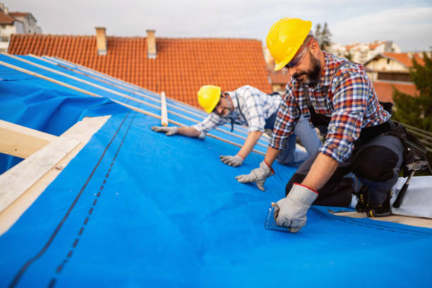 Best Metal Roofing Contractor  in Fairmont, MN