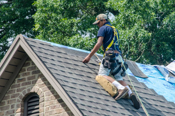 Best Roof Leak Repair  in Fairmont, MN